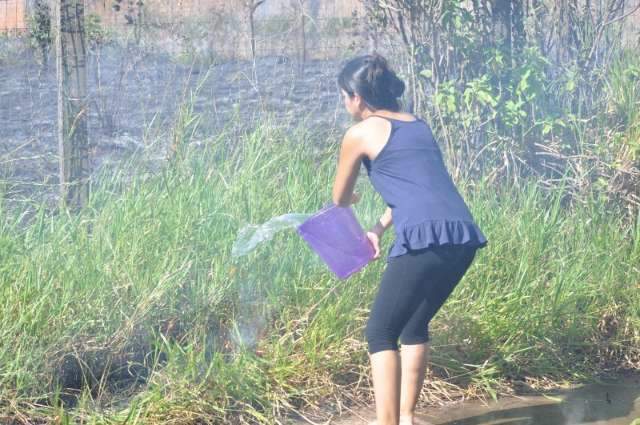 Fogo se espalha rapidamente e consome &aacute;rea de 5 hectares no Carand&aacute; Bosque