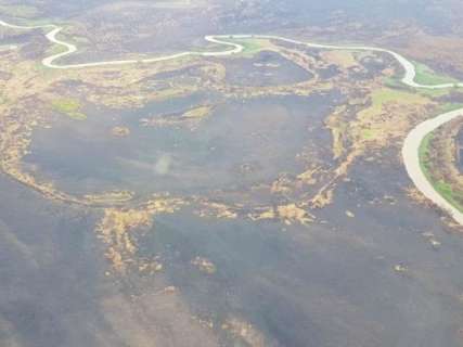 Com chuvas e fim de queimadas, força-tarefa no Pantanal é desmobilizada