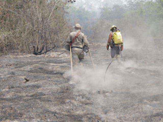 Chuva facilita combate ao fogo em MS, mas bombeiros continuam em alerta