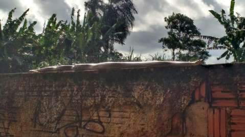 Moradores encontram cobra com mais de 2 metros em cima de muro