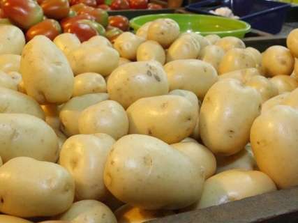 Estiagem prejudica produção e batata fica 23% mais cara em uma semana