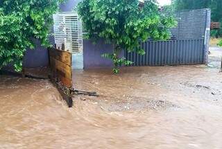 Chuva alagou pelo menos 20 casas e atingiu 155 milímetros (Foto: Divulgação)
