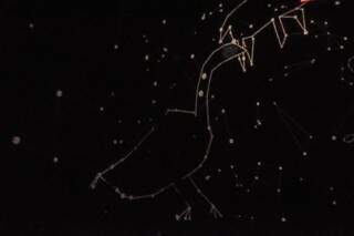Constelação da Ema vista dentro do planetário que fica no Sesc Cultura até este sábado. (Foto: Paulo Francis)