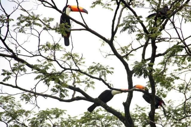 Capital apaga luzes de monumentos na Hora do Planeta neste s&aacute;bado