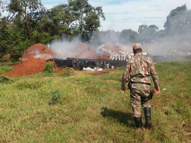 Pol&iacute;cia fecha carvoaria sem autoriza&ccedil;&atilde;o e aplica multa de R$ 34 mil ao dono