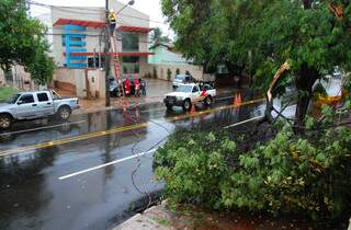 Galho de árvore caiu sobre fiação e tráfego de veículos foi interrompido. (Foto: Simão Nogueira)