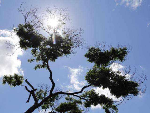 Semana que antecede o Natal deve ter chuva forte e temperaturas em queda