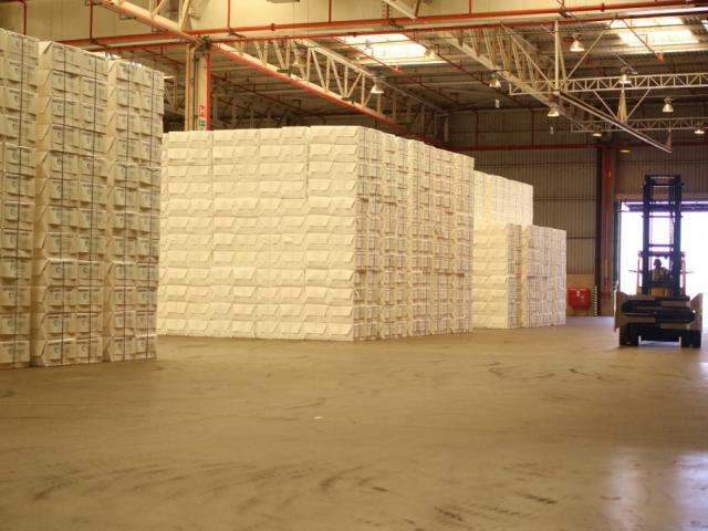 Com ajuda da China, MS exporta perto de 1 milh&atilde;o de toneladas de celulose