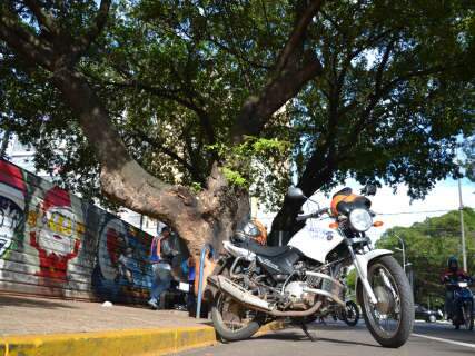  Mototaxistas reclamam de árvore que ameaça cair no centro 