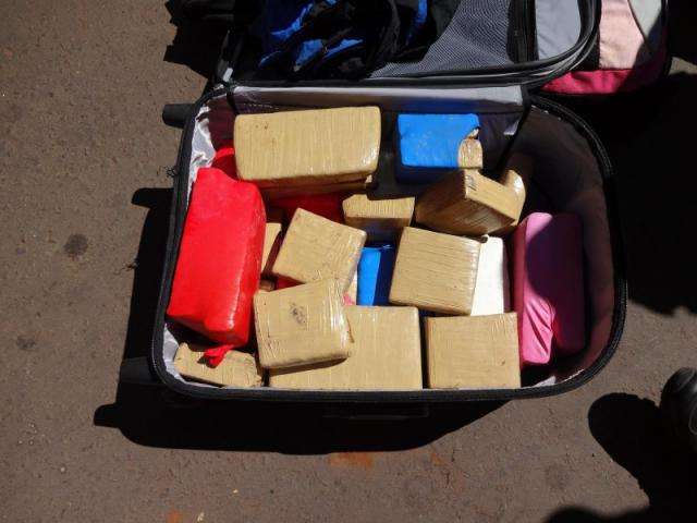 C&atilde;es encontram 21 kg de maconha em bagagem de adolescente na BR-163