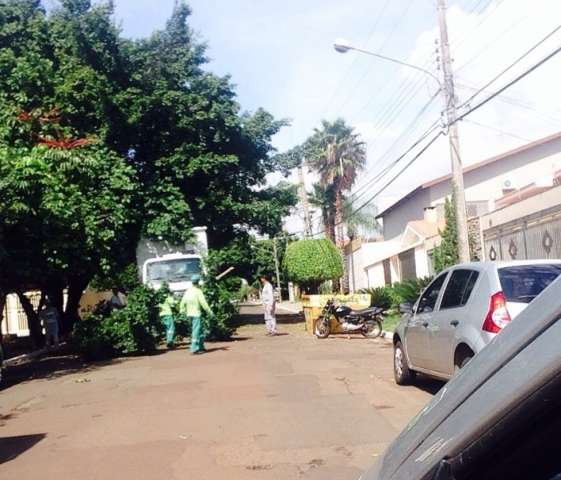 Poda de &aacute;rvore interdita rua e falta de sinaliza&ccedil;&atilde;o atrapalha o tr&acirc;nsito 