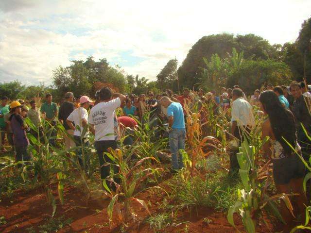 Ind&iacute;gena &eacute; encontrado morto com facada no peito em Dourados