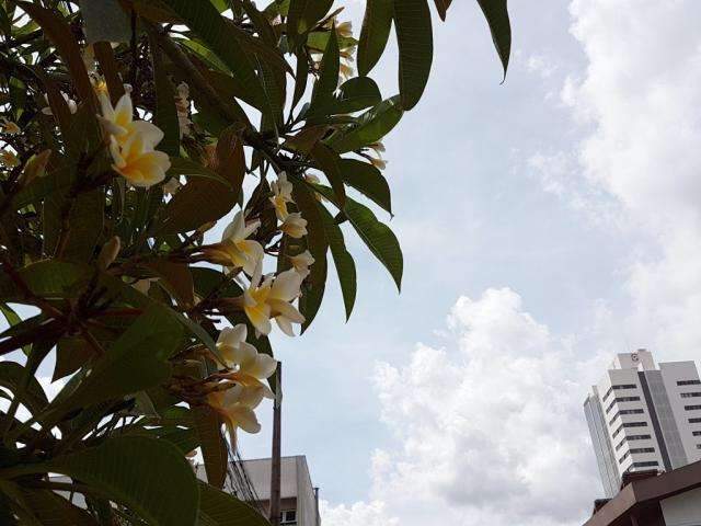 Capital e outros 52 munic&iacute;pios est&atilde;o em alerta de tempestade at&eacute; sexta
