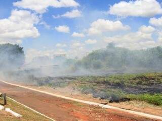 Vizinhos dizem que o terreno está pegando fogo desde cedo. (Foto: Mirian Machado)
