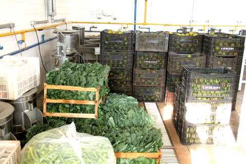 Agricultura Familiar entrega 50 toneladas de frutas e verduras semanalmente