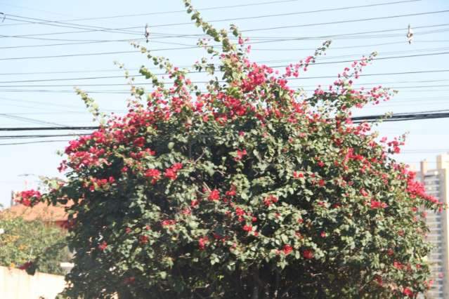 Chuvas e tempo abafado marcam &uacute;ltimos dias da primavera no Estado