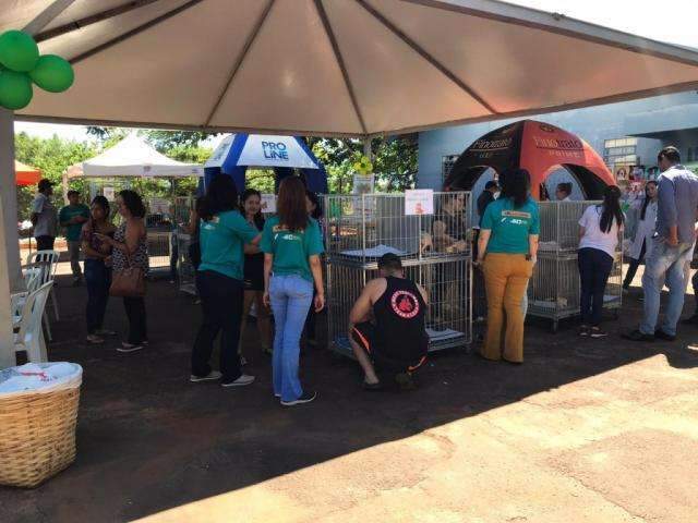 Feira de ado&ccedil;&atilde;o no CZZ marca dia D contra abandono de animais 