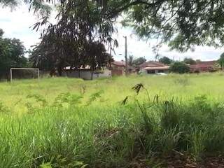 Campo atrás de posto de saúde tem matagal e água parada na Vila Nasser