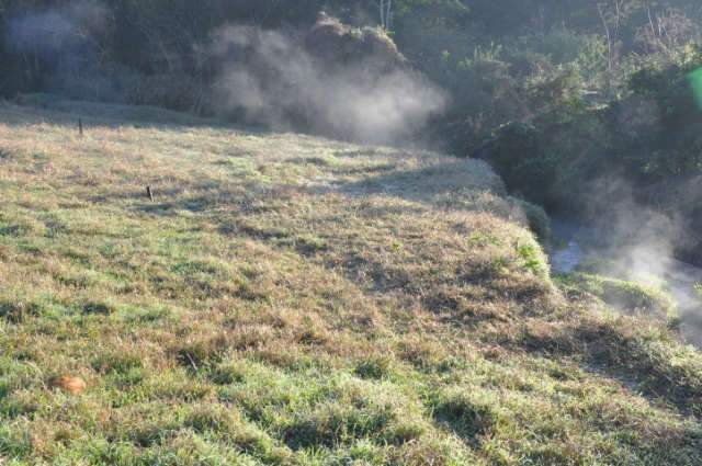  Munic&iacute;pios de MS registram geada e sensa&ccedil;&atilde;o de frio de -3,8&ordm;C