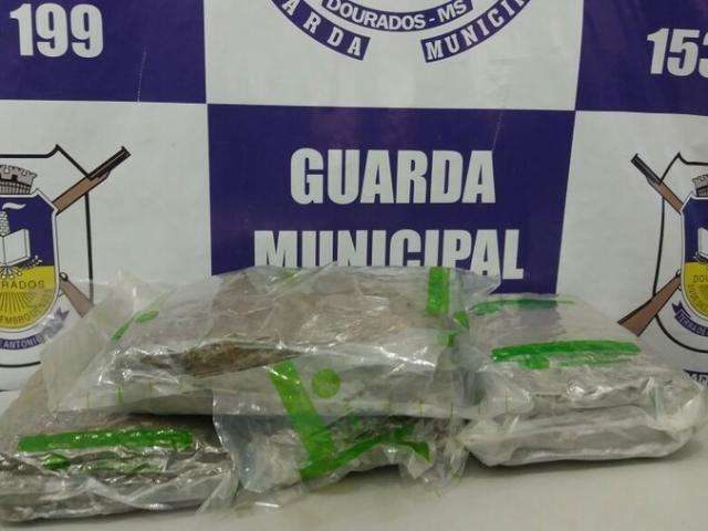 &quot;Super maconha&quot; traficada de MS seria levada por jovens para o PR 