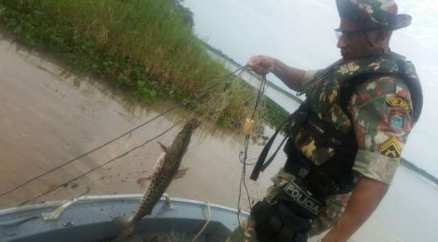 Opera&ccedil;&atilde;o no Rio Paran&aacute; apreende material ilegal e solta 30 kg de peixes 