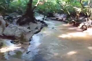 Trecho do Córrego Pedregulho assoreado, (Foto: Reprodução de vídeo feito pelos moradores)