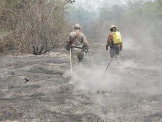 Em Mato Grosso do Sul, são 300 homens trabalhando no combate às queimadas  (Foto: Divulgação/Corpo de Bombeiros)