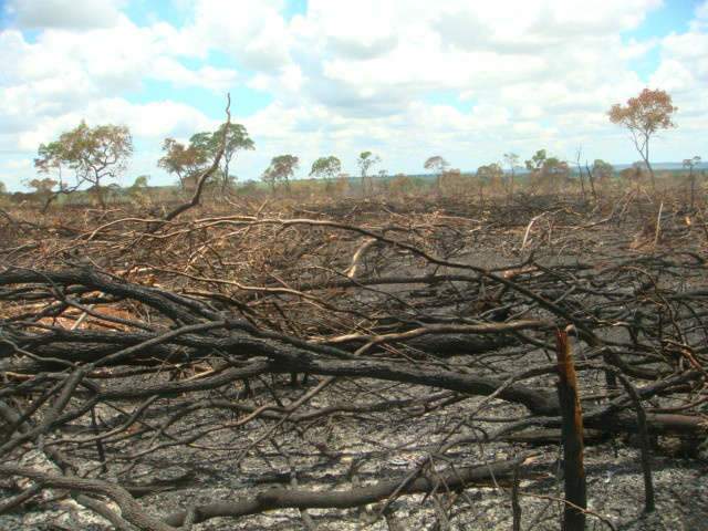  PMA multa carvoeiro em R$ 180 mil por inc&ecirc;ndio ilegal em Dois Irm&atilde;os