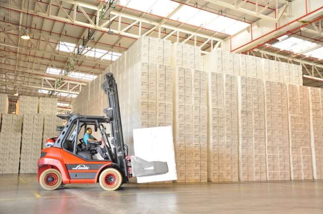 Eldorado busca apoio de fundos para dobrar produ&ccedil;&atilde;o de celulose em MS