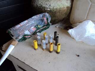 Crânio de jacaré e munições foram encontradas pela polícia (Foto: Divulgação)