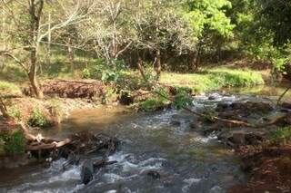 Córrego Laranja Doce, em Dourados, recebe ação ambiental na manhã de domingo (Foto: Imam/Divulgação)