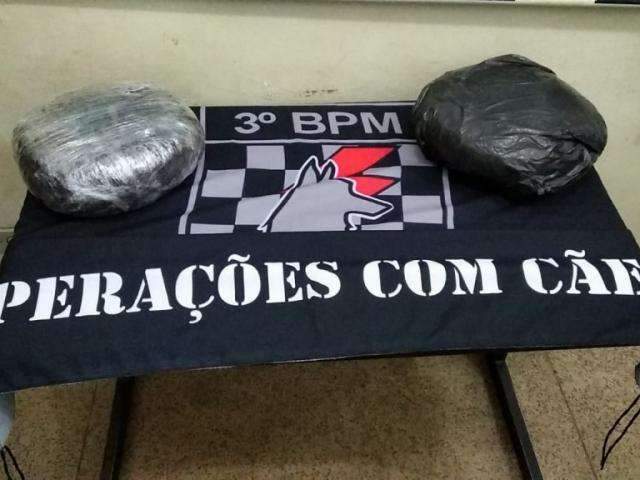 Flagrada com supermaconha, mulher diz que aceitou traficar para sustentar filhos