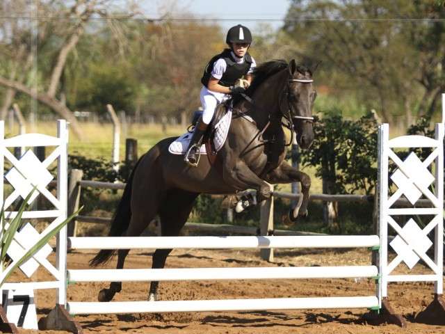 Competi&ccedil;&atilde;o estadual de hipismo vai ocorrer na regi&atilde;o de fronteira