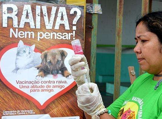 CCZ identifica caso de raiva animal e adota medidas para impedir transmiss&otilde;es