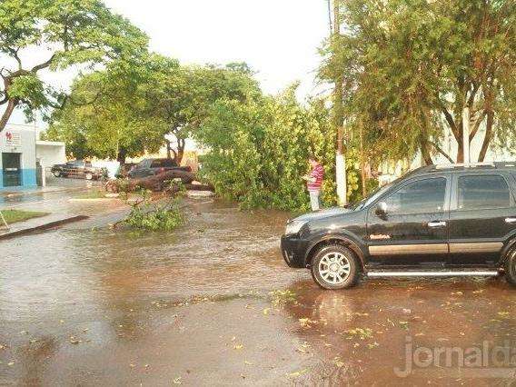 Temporal destelha casas, derruba &aacute;rvores e deixa cidade ser energia