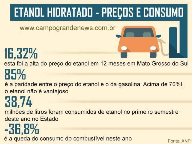 Etanol sobe 6 vezes mais que a infla&ccedil;&atilde;o e consumo &eacute; o menor em 10 anos