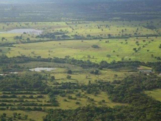 Perto do prazo, 35% das propriedades ainda n&atilde;o est&atilde;o no cadastro ambiental