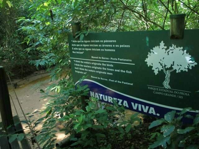 Projeto de recupera&ccedil;&atilde;o em c&oacute;rrego deve ser conclu&iacute;do s&oacute; em dezembro