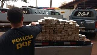 Policial do DOF com tabletes de maconha apreendidos (Foto: Osvaldo Duarte)