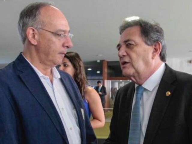 Estado receber&aacute; R$ 2,5 milh&otilde;es para retomar plantio da erva-mate