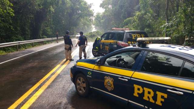 &Aacute;rvore cai e interdita parcialmente rodovia BR-463 ap&oacute;s chuva