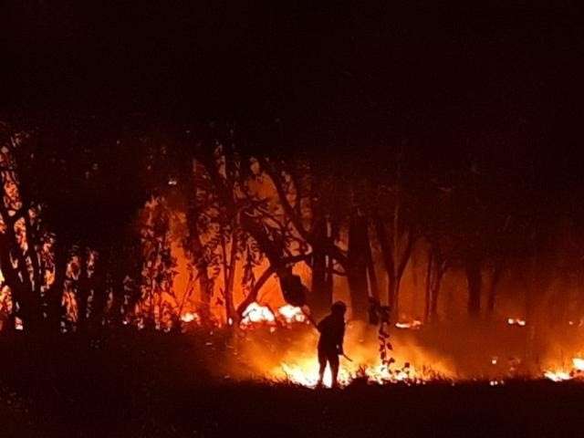 Ossada humana &eacute; encontrada em terreno no Parque dos Poderes