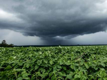Aplicativo vai mostrar previsão imediata de chuvas para agricultores