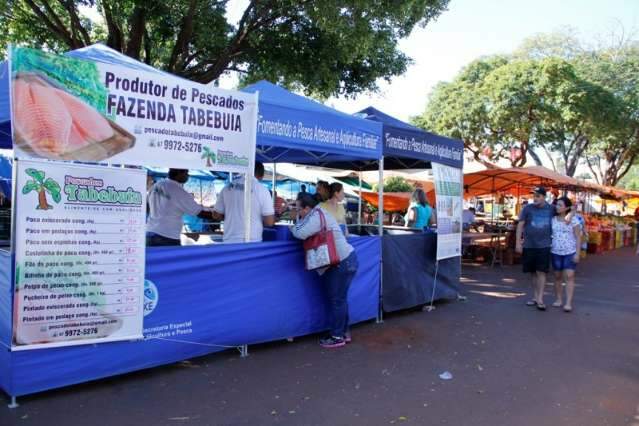 Depois de peixe, feirantes da Rua Cuiab&aacute; v&atilde;o come&ccedil;ar a vender carne