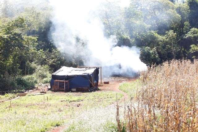&Iacute;ndios trancam port&atilde;o de s&iacute;tio ocupado e plantam banana onde tinha milho