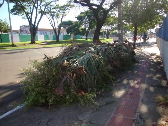 Leitor reclama de lixo acumulado em cal&ccedil;ada da Afonso Pena