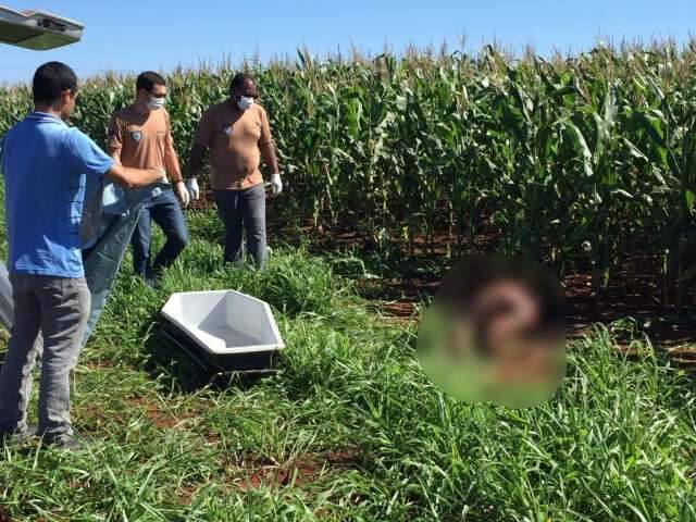 Com 4 tiros, corpo de mulher gr&aacute;vida &eacute; encontrado em planta&ccedil;&atilde;o de milho