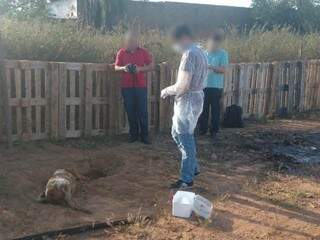 Policiais civis acompanharam exumação dos corpos de três cachorros (Foto: Divulgação)