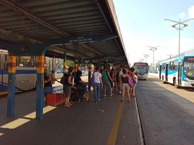 Pesquisa come&ccedil;a a consultar usu&aacute;rios sobre qualidade do transporte coletivo
