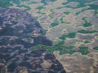 Mata Atl&acirc;ntica de parque &eacute; preservada apesar de fogo destruir 30 mil hectares